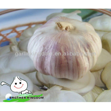 Snow White Chinese Vegetable Garlic Seed